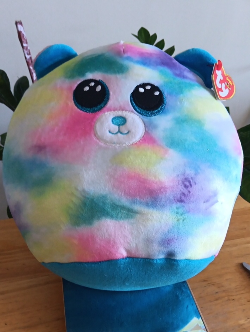 Ty Rainbow Squish a boos  Cat Hope New